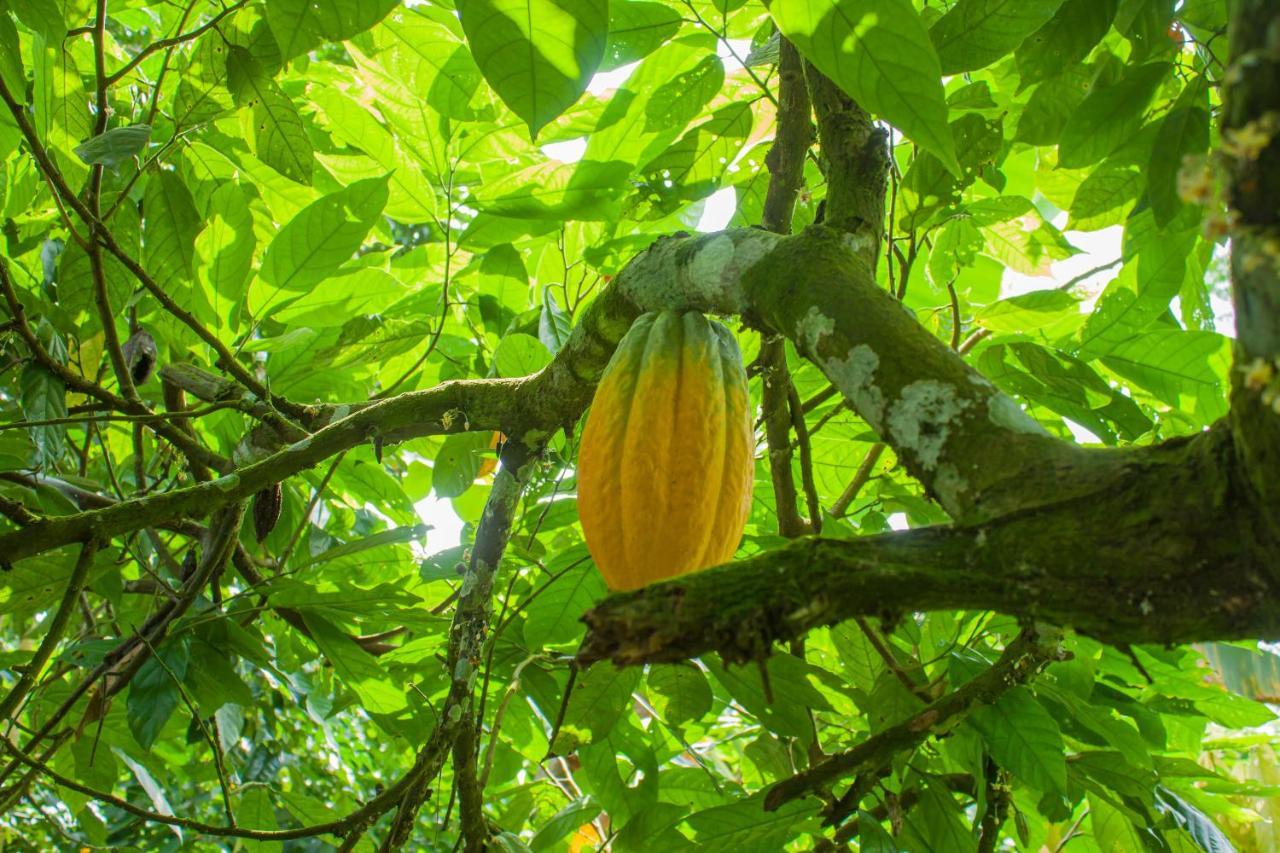 Welfare Agroturismo Milagrosa Buitenkant foto