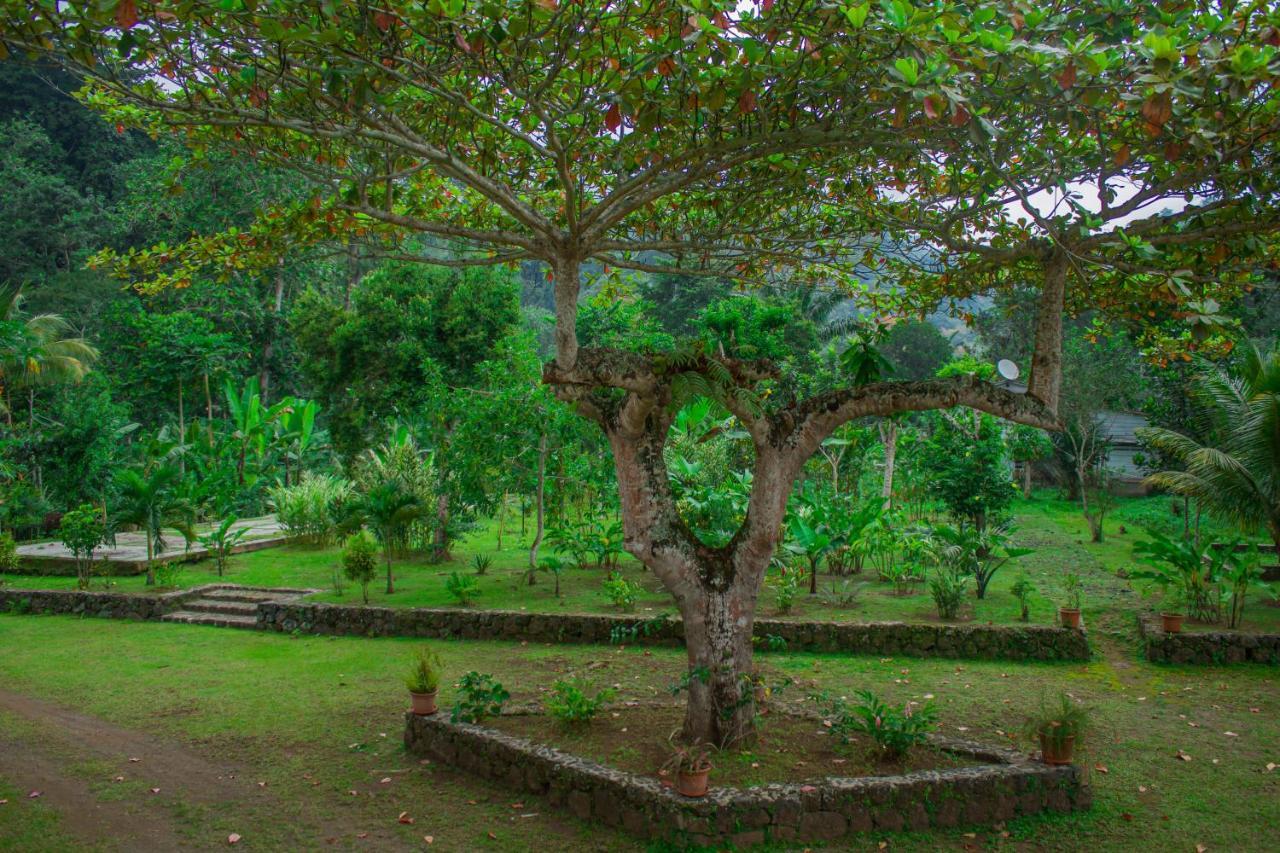 Welfare Agroturismo Milagrosa Buitenkant foto